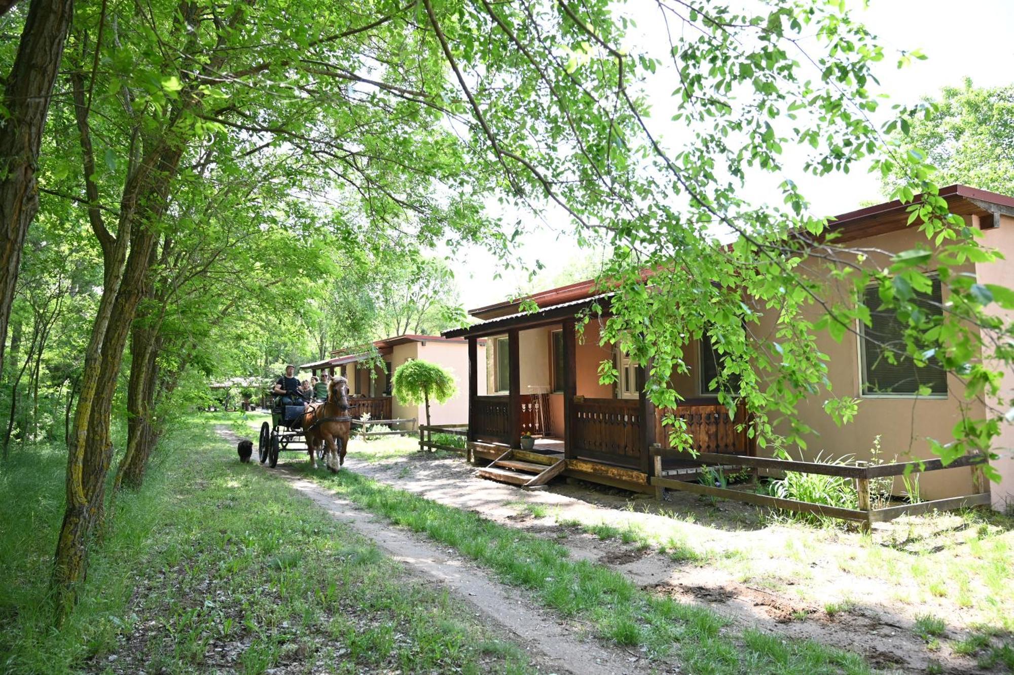 Campsite Gidran Major *